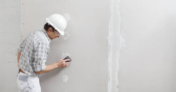 Best Mold Odor Removal Services  in Village Shires, PA