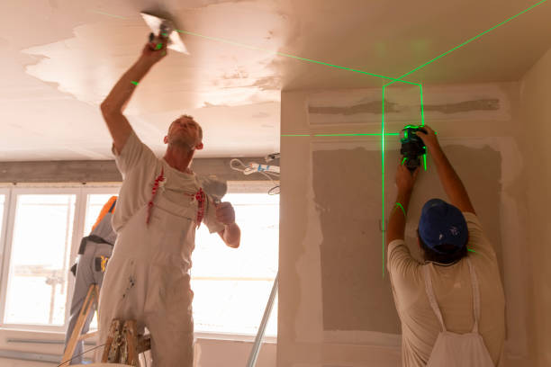 Village Shires, PA Mold Removal Company