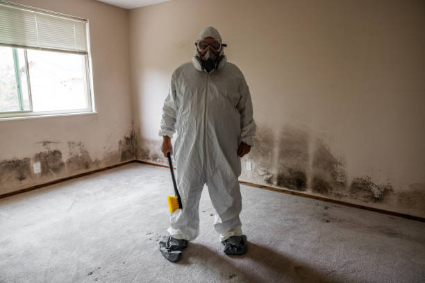Best Biohazard Mold Removal  in Village Shires, PA